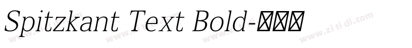 Spitzkant Text Bold字体转换